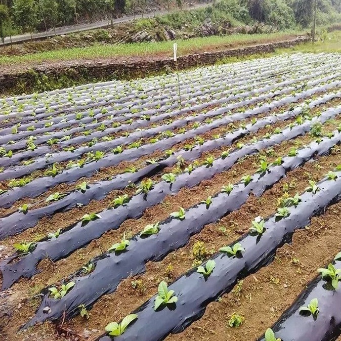 全生物（wù）降解（jiě）地膜